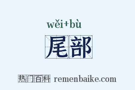 尾部是什么意思的图片